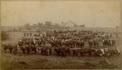 Blue Hill Agricultural Fair, ca. 1875