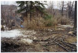 Ice storm, Academy Street Tree Damage, 1998