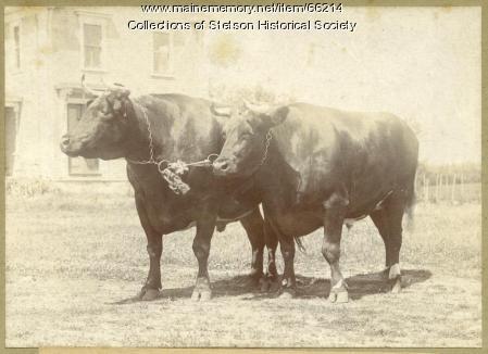 Mt. Katahdin and Granger, Stetson, ca. 1906