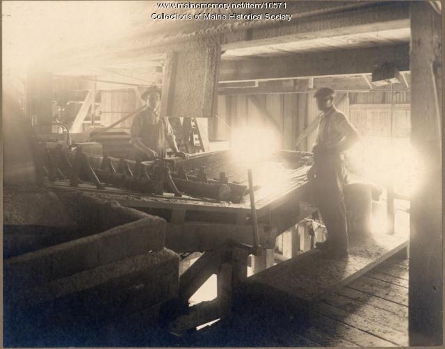 Workers at Pejepscot Paper Company, Topsham, ca. 1900