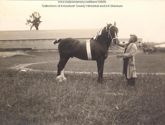 Horse and master, ca. 1912