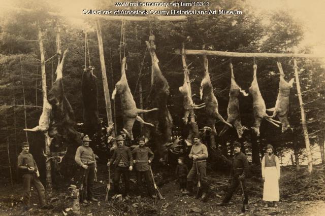 Successful hunt in the Aroostook Woods, ca. 1900