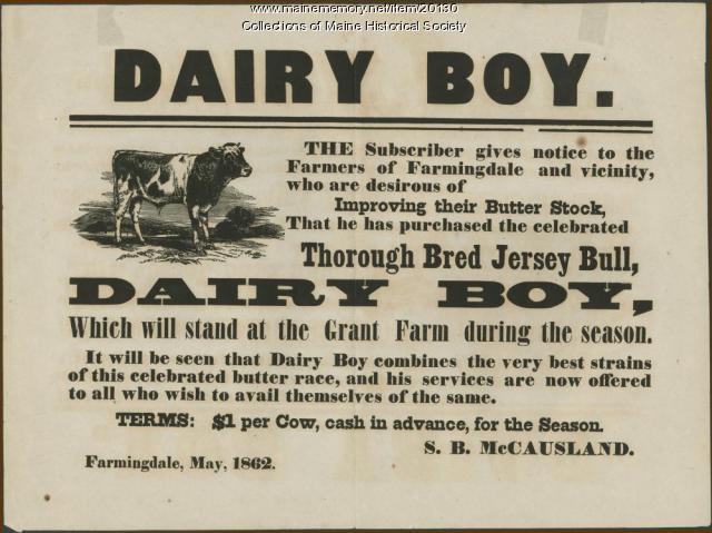 Dairy Boy bull offer, Farmingdale, 1862