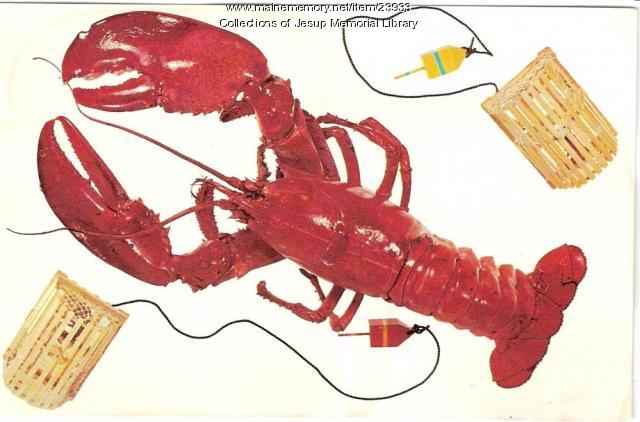 Maine Lobster postcard, ca. 1920