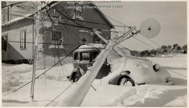 Tree on car, Auburn, 1943