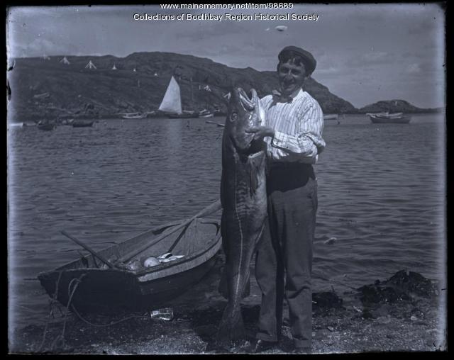 Fisherman Ernest L. Smith with codfish, Monhegan, 1910