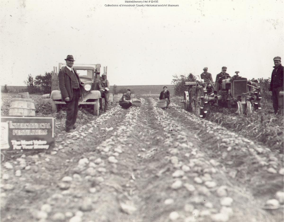 Chester Giberson farm, Fort Fairfield, ca. 1930 - Maine Memory Network