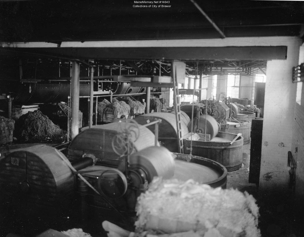 Pulp making, Brewer, 1921 - Maine Memory Network