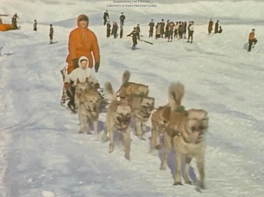 Perry Greene with his Chinook sled dog team, Portland, ca. 1940 - Maine ...