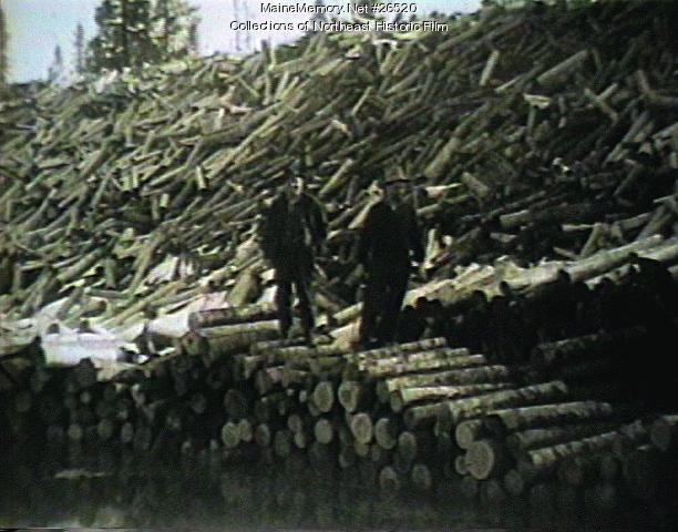 Winter logging, ca. 1930 - Maine Memory Network