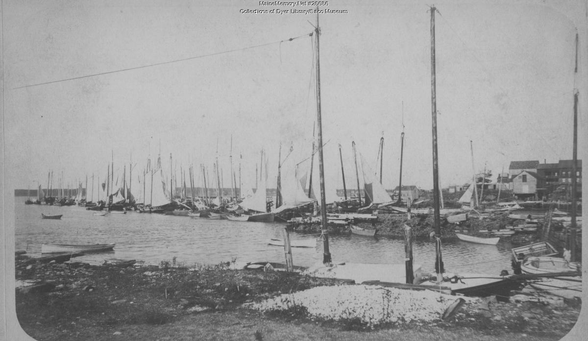 Crowded Harbor, Biddeford Pool, ca. 1890 - Maine Memory Network