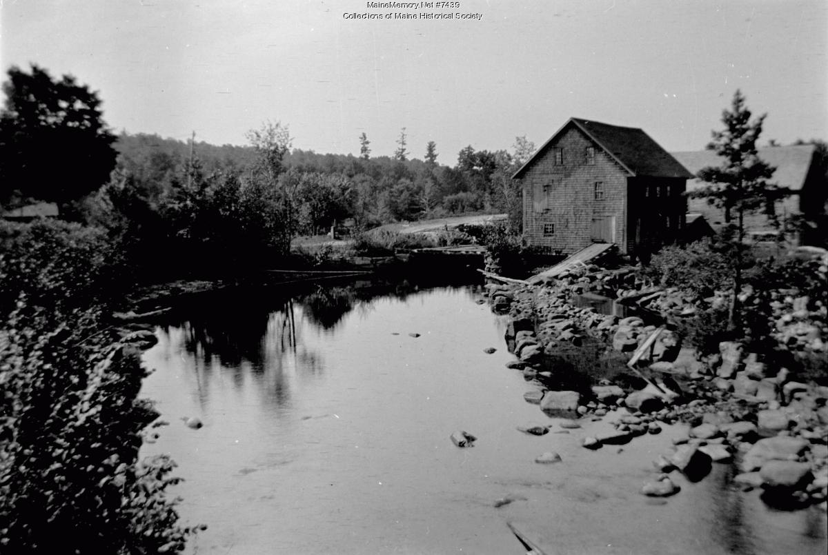 Denmark mill pond, August 1911 - Maine Memory Network